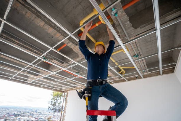 Best Emergency Plumbing Repair  in Brocton, NY