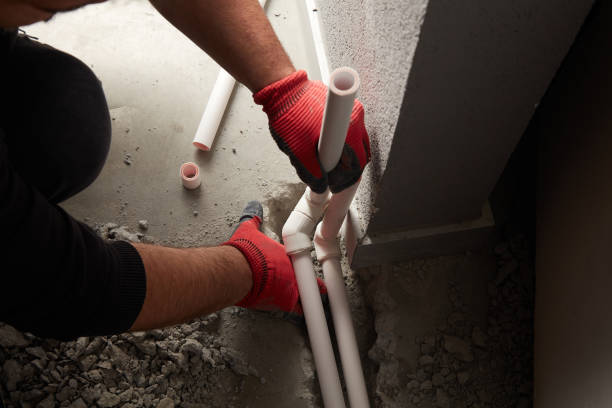 Best Plumbing Inspection Services  in Brocton, NY