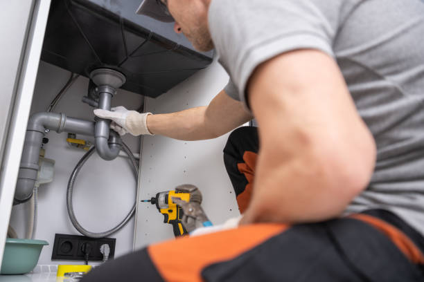 Best Local Plumber Services  in Brocton, NY